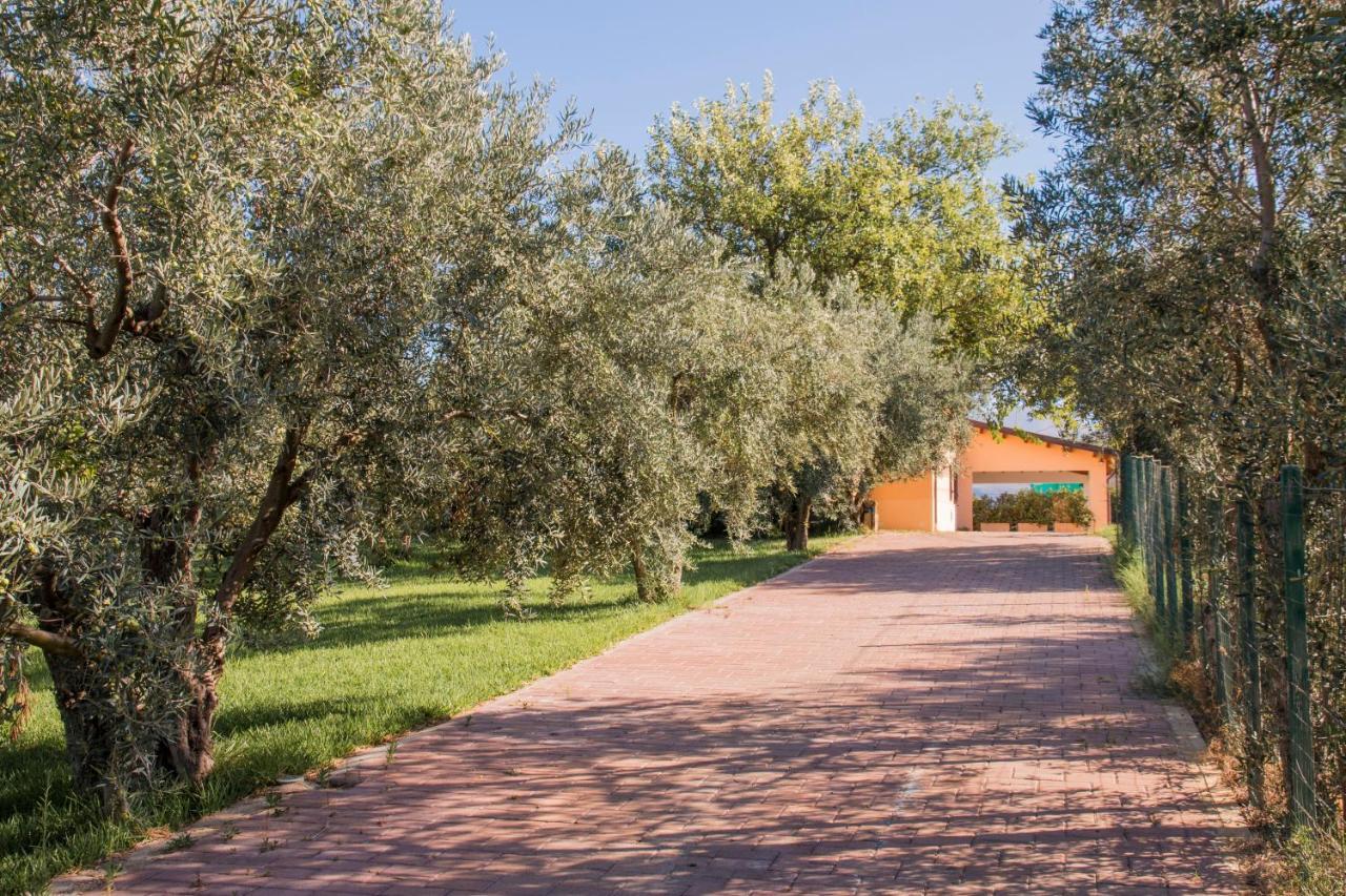 Villa Con Piscina Casale Di Gio Nel Golfo Di Castellammare 파르티니코 외부 사진