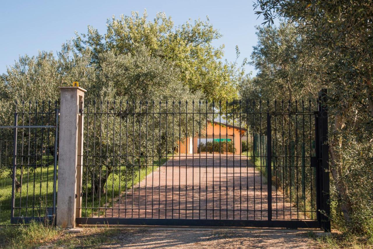 Villa Con Piscina Casale Di Gio Nel Golfo Di Castellammare 파르티니코 외부 사진